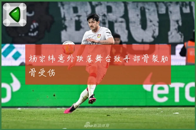 杨宗纬意外跌落舞台致手部骨裂肋骨受伤